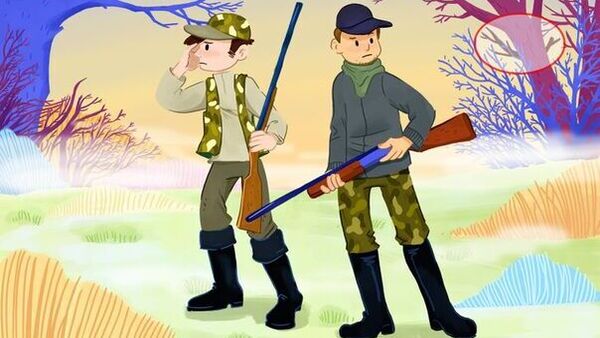 OPTICAL ILLUSION DEER FIND IN 13 SECS