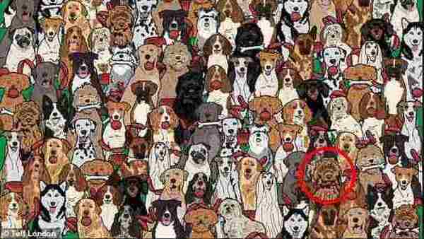 OPTICAL ILLUSION ANSWER