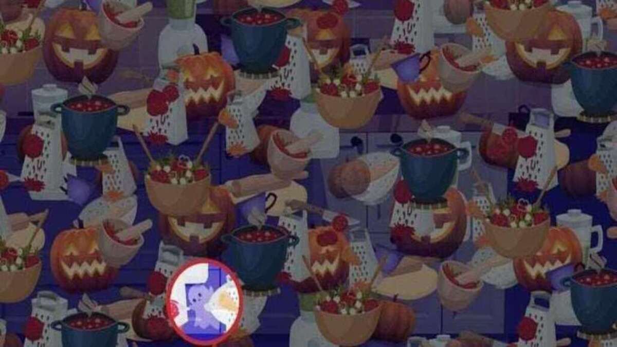 OPTICAL ILLUSION ANSWER OPTICAL ILLUSION ANSWER