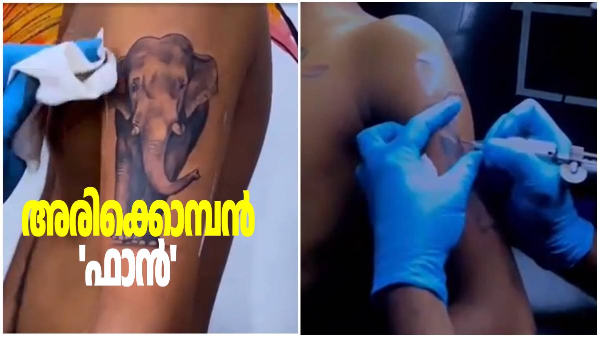 arikomban arikomban