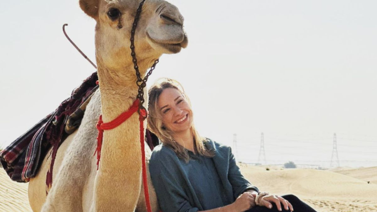  camel