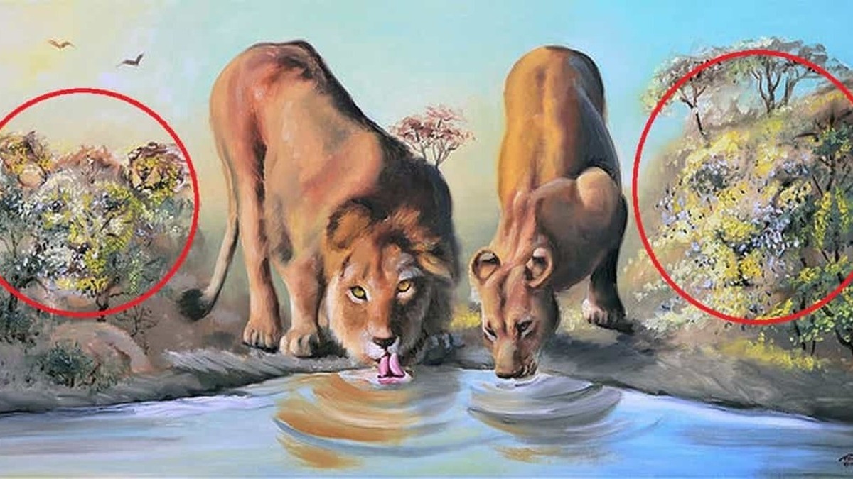 OPTICAL ILLUSION ANSWER OPTICAL ILLUSION ANSWER