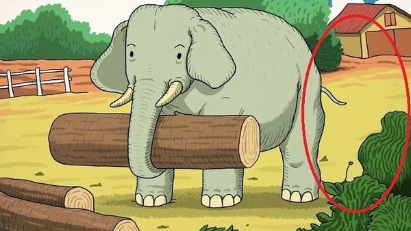 optical illusion answer