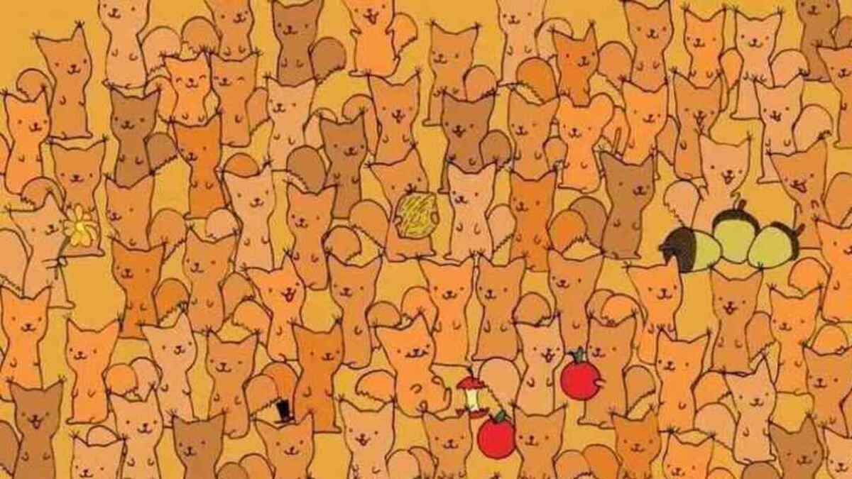 optical illusion image optical illusion image