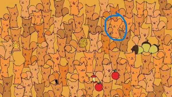 OPTICAL ILLUSION ANSWER OPTICAL ILLUSION ANSWER