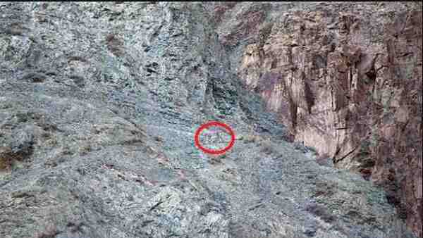 OPTICAL ILLUSION ANSWER