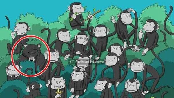 OPTICAL ILLUSION ANSWER