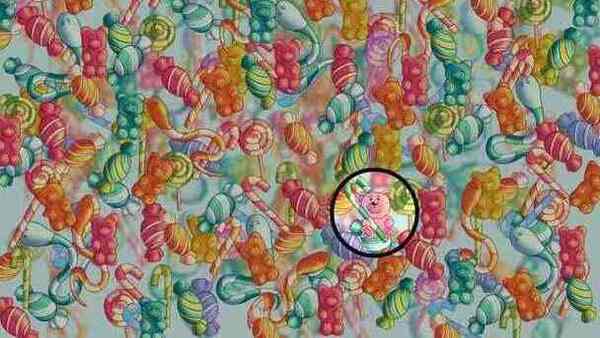 optical illusion challenge ANSWER