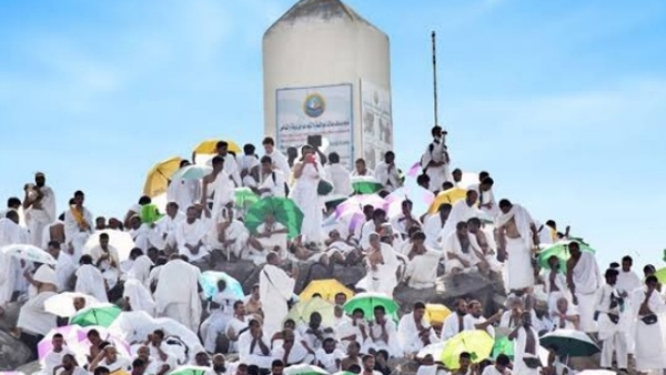  arafa