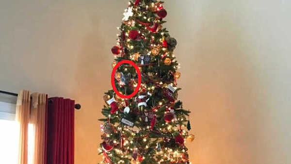 optical illusion chrismas tree or not challenge answer