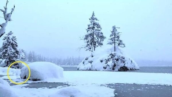 optical-illusion-challenge-answer