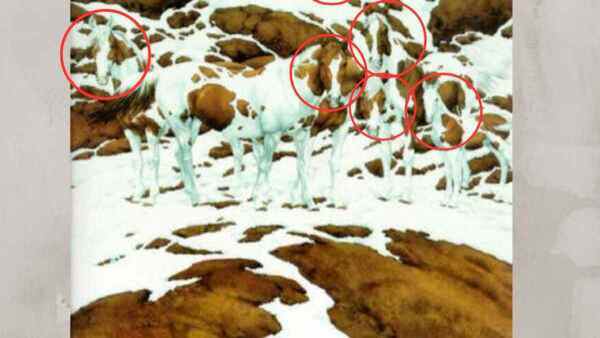 optical-illusion-challenge-answer