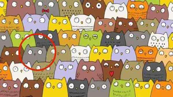 optical-illusion-challenge-answer