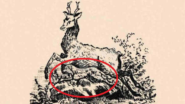 OPTICAL-ILLUSION-CHALLENGE-ANSWER