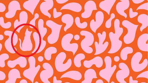 find-the-cat-optical-challenge