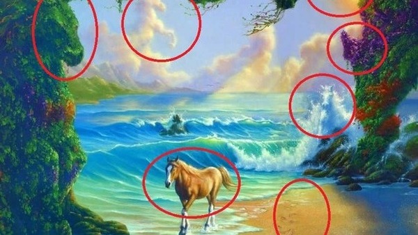 OPTICAL ILLUSION CHALLENGE ANSWER