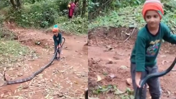 viral snake 
