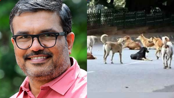 stray-dogs-1 stray-dogs-1