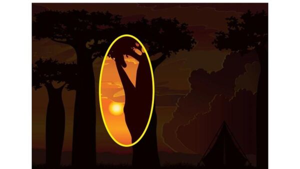 optical challenge answer