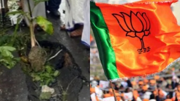  bjpnew-