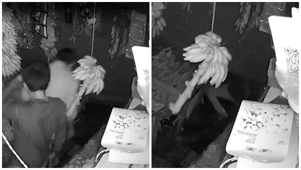 cctv
