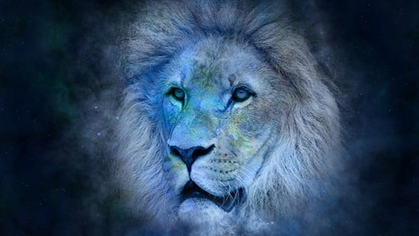 astrology