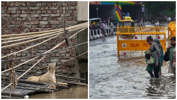flood flood
