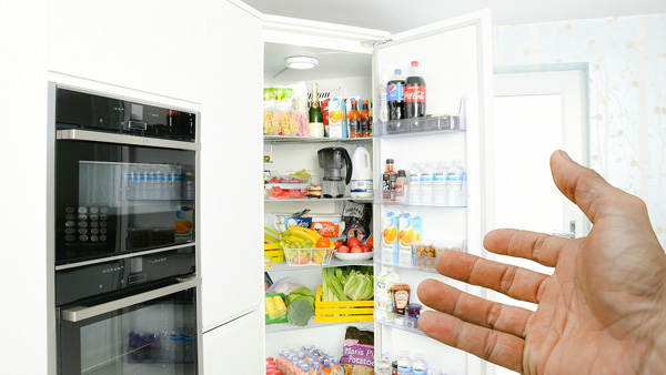 fridge fridge