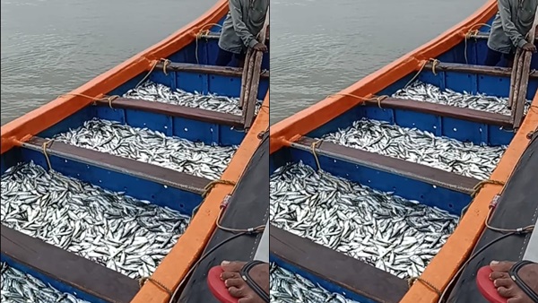 kerala 