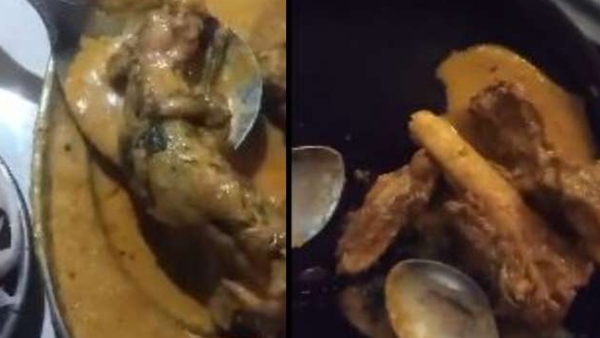 mutton 