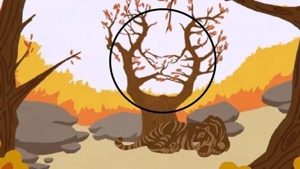optical-illusion-challenge-answer