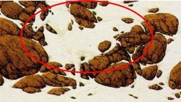 optical-illusion-challenge