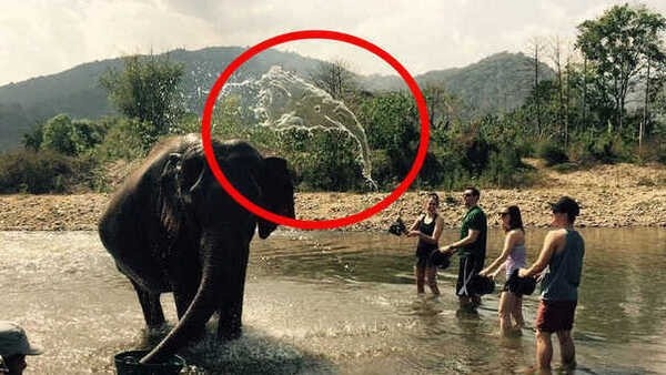 optical-illusion-challenge