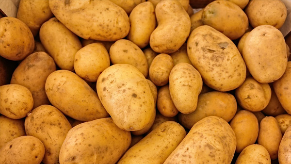 potato