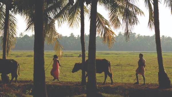  village1