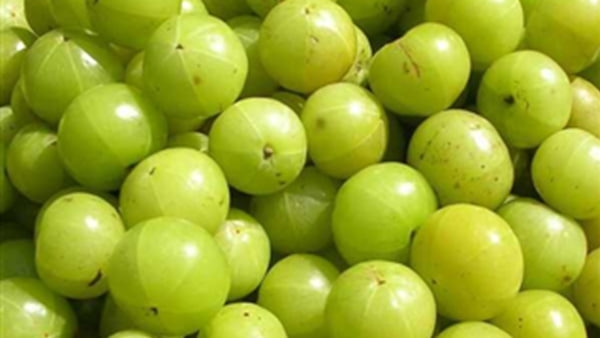 Hair Fall remedies