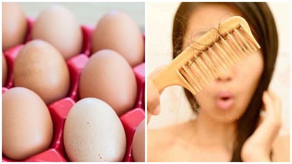 Hair Fall remedies