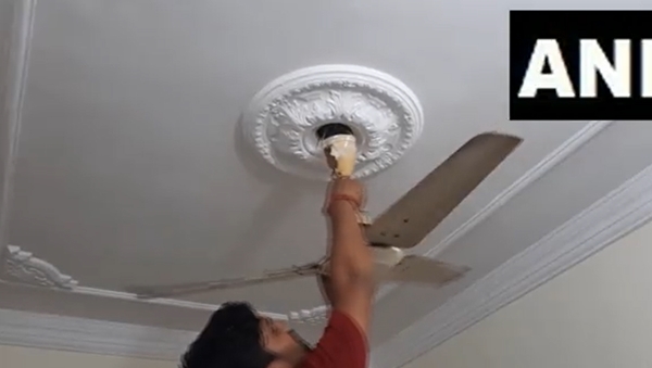 fan