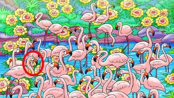 opitcal-illusion-challenge-answer