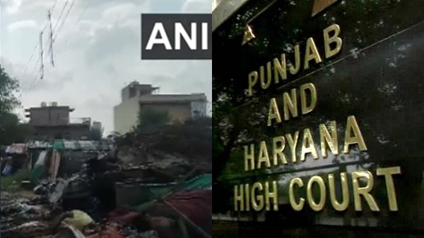  haryana-punjabcourt-