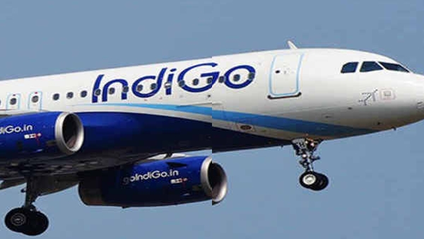 indi-1 indi-1