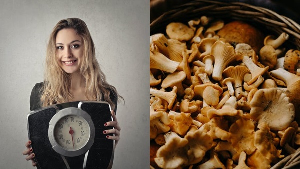 mushroom2