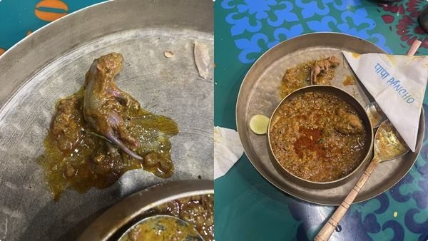 chicken-curry-rat chicken-curry-rat