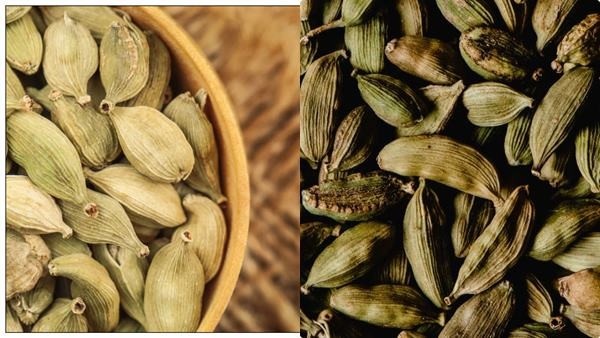 elachi-weight-loss