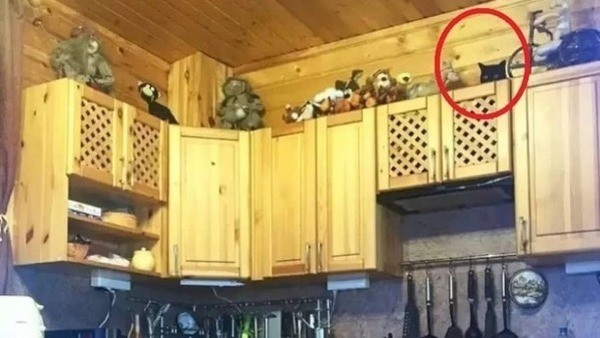 optical-illusion-challenge-answer