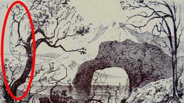 optical-illusion-challenge