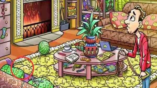 optical-illusion-challenge-news