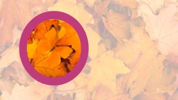 optical-illusion-challenge