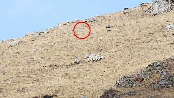 optical-illusion-challenge optical-illusion-challenge