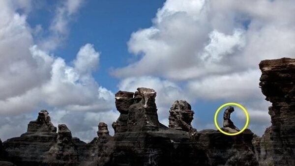 optical-illusion-challenge-answer